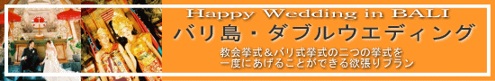 �o�����E�_�u���E�G�f�B���O�B����{�o���������̓�̋�������x�ɂ����邱�Ƃ��ł���~����v����
